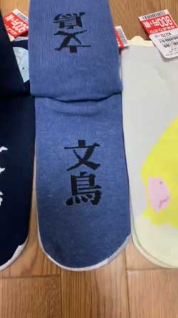 靴下 柄 なんで ハシビロコウ 寿司 SUSHI 文鳥 オカメインコ 鳥