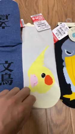 靴下 柄 なんで ハシビロコウ 寿司 SUSHI 文鳥 オカメインコ 鳥