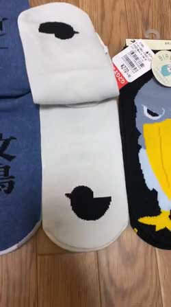 靴下 柄 なんで ハシビロコウ 寿司 SUSHI 文鳥 オカメインコ 鳥