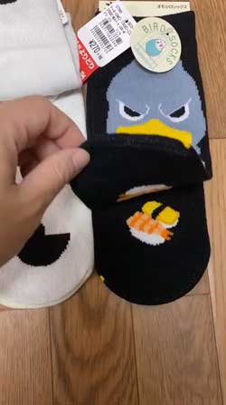 靴下 柄 なんで ハシビロコウ 寿司 SUSHI 文鳥 オカメインコ 鳥