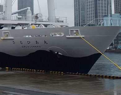 さるびあ丸 東海汽船 伊豆諸島 船旅