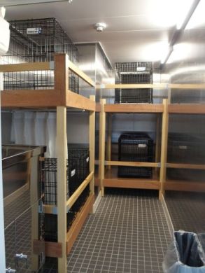 さるびあ丸 東海汽船 伊豆諸島 船旅