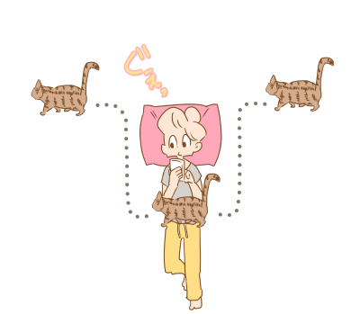 猫よなぜなのか2