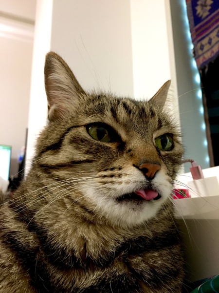 舌が出てる殿さん