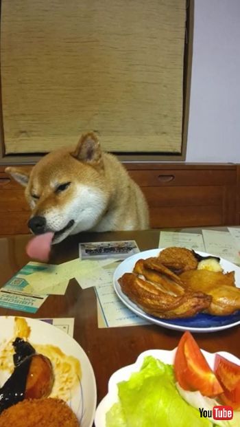 Tries to get a Taste