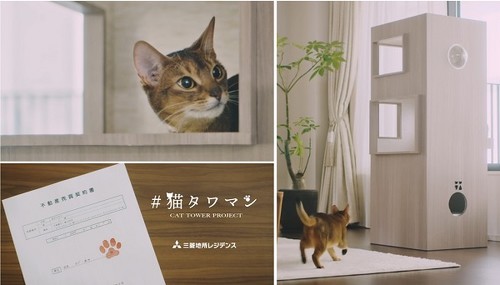 猫タワマン
