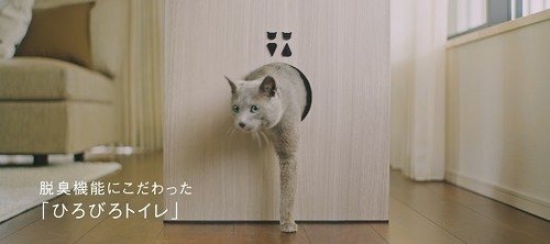 猫タワマン