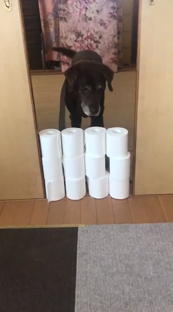 レベルアップチャレンジ開始