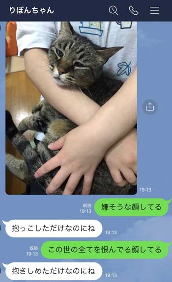 ねこ恨んでる顔