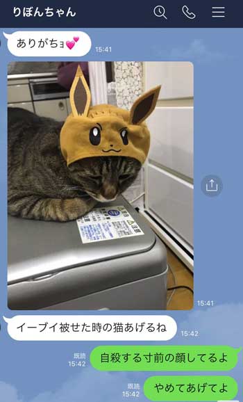 フォロワー 猫 LINE 定期的 悲しそう 嫌そう 表情 顔