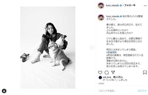 二階堂ふみ 繁殖犬