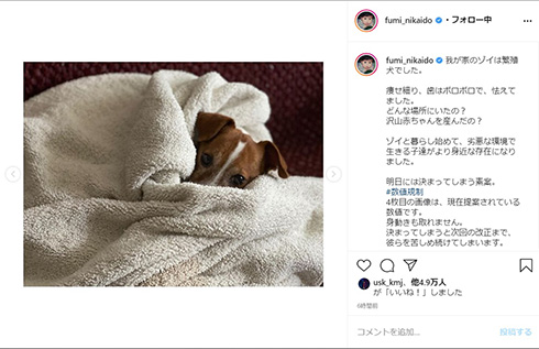二階堂ふみ 繁殖犬