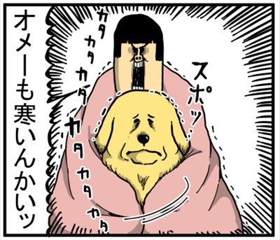 ゴールデンレトリバーに最適な温度