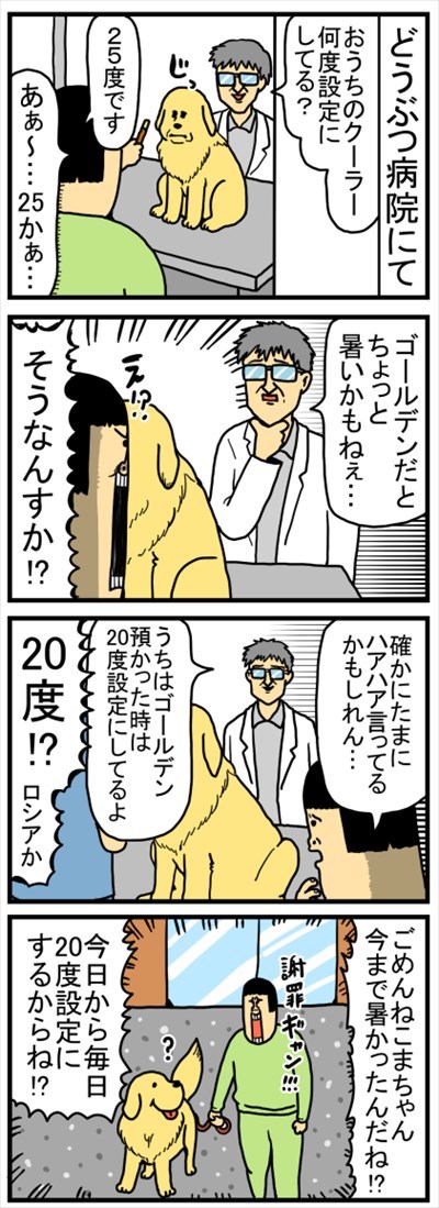 ゴールデンレトリバーに最適な温度