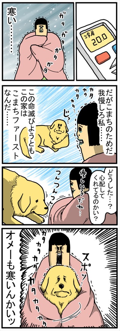 ゴールデンレトリバーに最適な温度