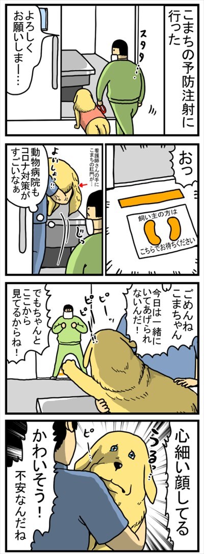 ゴールデンレトリバーに最適な温度