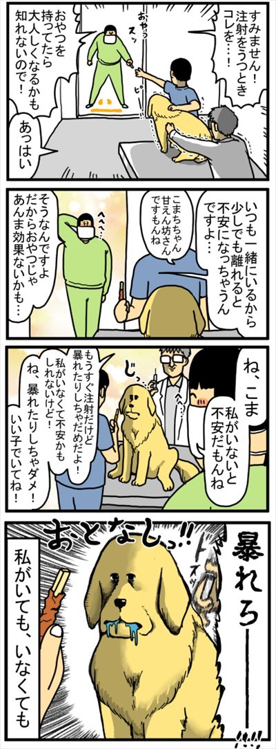 ゴールデンレトリバーに最適な温度