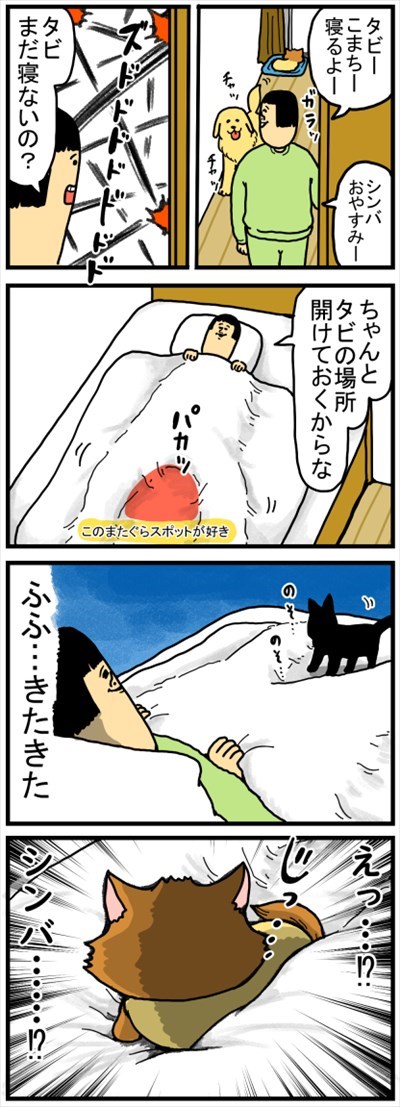 ゴールデンレトリバーに最適な温度