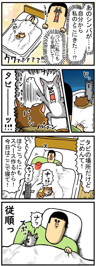 ゴールデンレトリバーに最適な温度