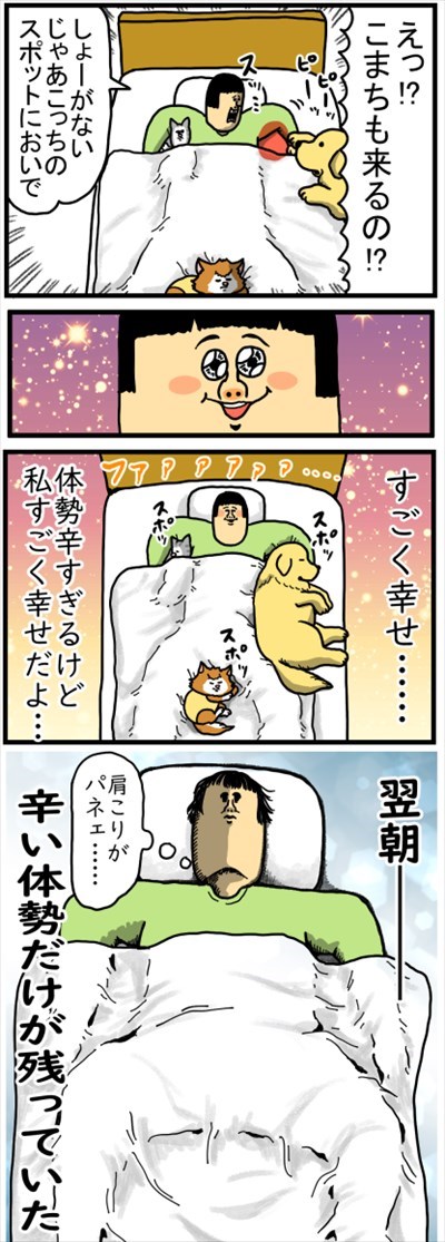 ゴールデンレトリバーに最適な温度