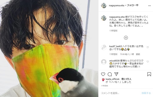 永山瑛太 木村カエラ マスク 手作り 手製 ハンドメイド