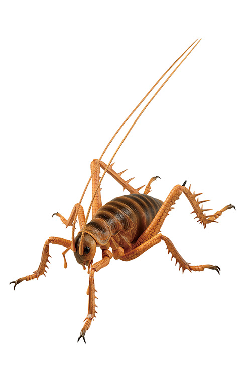 原寸大のヘラクレスオオカブトやギラファノコギリクワガタ　一番くじ最新作から昆虫がテーマのリアルフィギュア登場