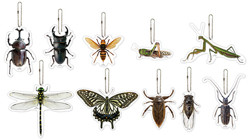原寸大のヘラクレスオオカブトやギラファノコギリクワガタ　一番くじ最新作から昆虫がテーマのリアルフィギュア登場