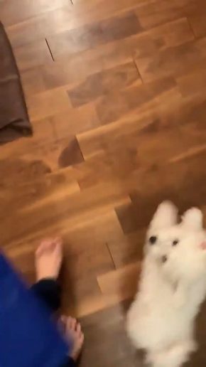 おつきちゃん ひんやりマット