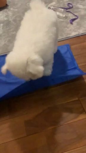 おつきちゃん ひんやりマット