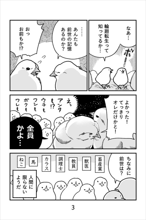 ヒヨコ共がゆめのあと