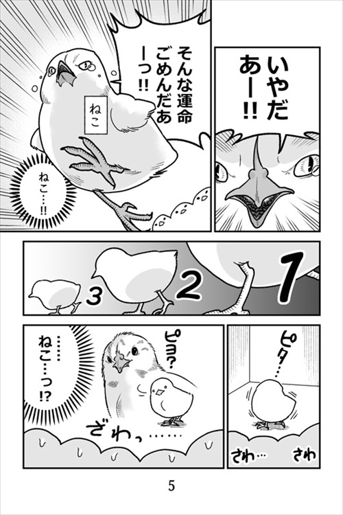 ヒヨコ共がゆめのあと