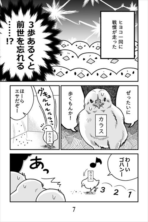 ヒヨコ共がゆめのあと