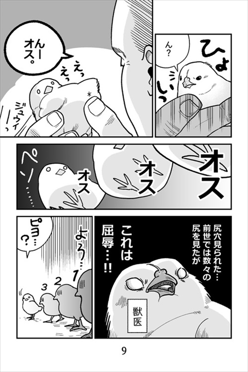 ヒヨコ共がゆめのあと