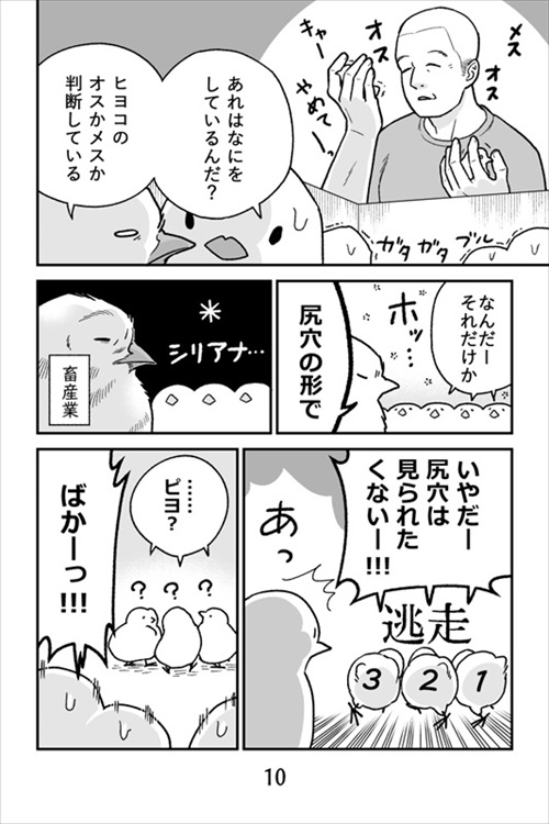 ヒヨコ共がゆめのあと