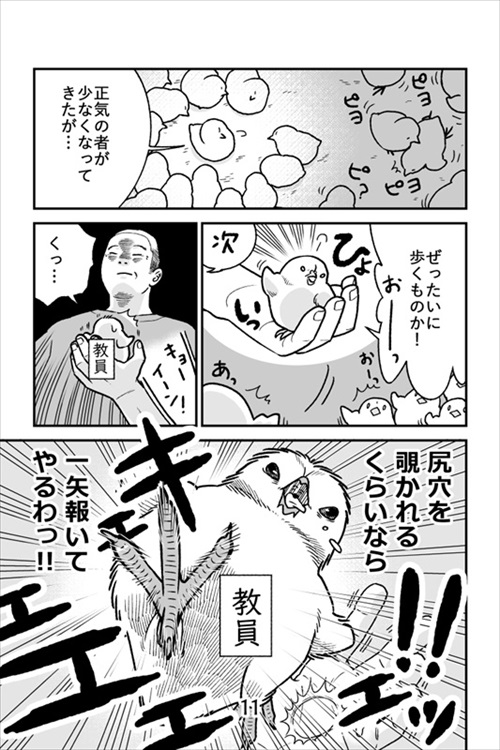 ヒヨコ共がゆめのあと