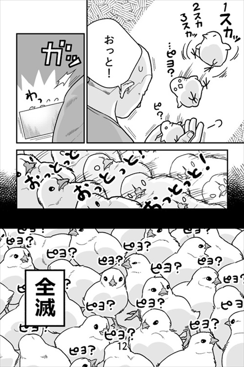 ヒヨコ共がゆめのあと