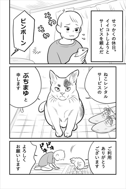 ヒヨコ共がゆめのあと
