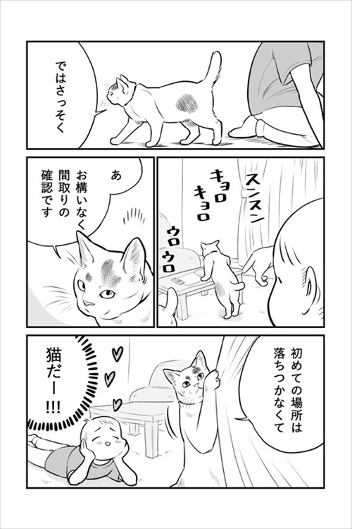 ヒヨコ共がゆめのあと