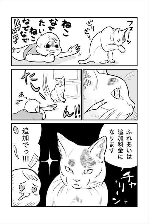 ヒヨコ共がゆめのあと
