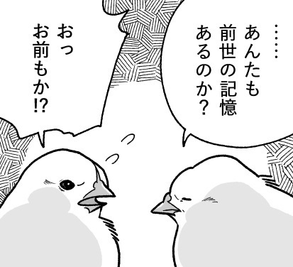 ヒヨコ共がゆめのあと