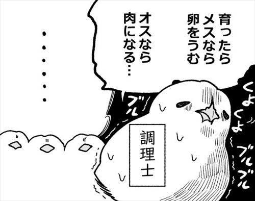 ヒヨコ共がゆめのあと