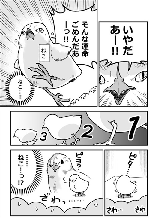 ヒヨコ共がゆめのあと