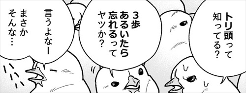 ヒヨコ共がゆめのあと