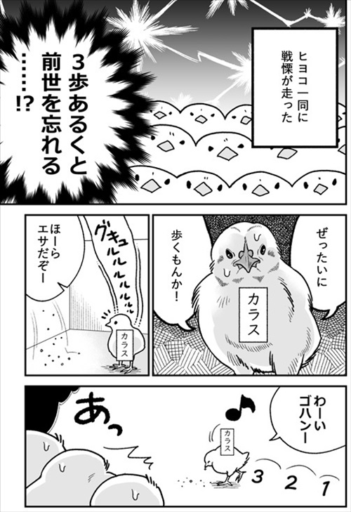 ヒヨコ共がゆめのあと
