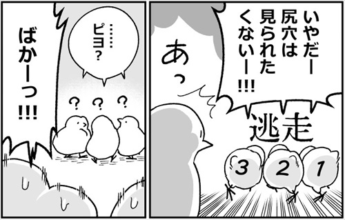 ヒヨコ共がゆめのあと