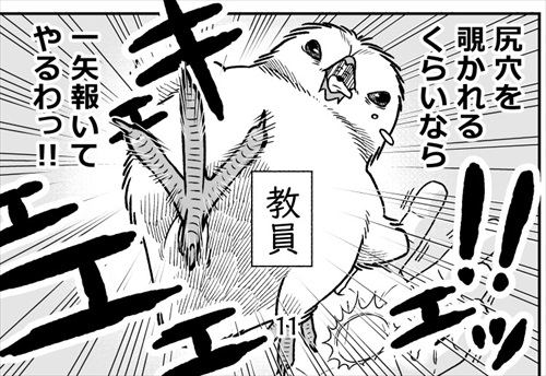 ヒヨコ共がゆめのあと