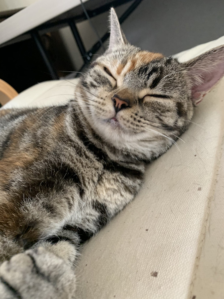 眠るあさひさん