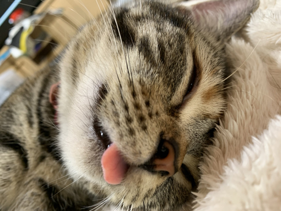 眠るあさひさん顔アップ