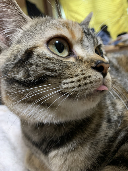 起きてるあさひさん顔アップ