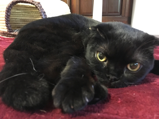 三女・るいさん